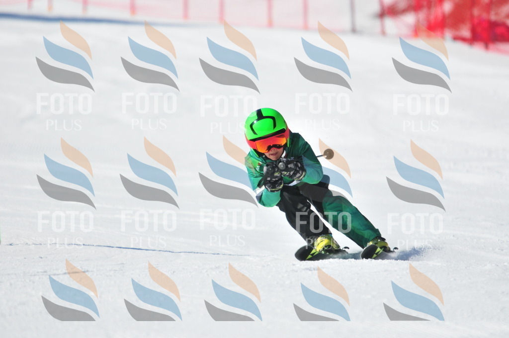 C2943 | holidayphoto