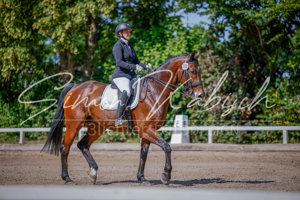 20250621-_3LI9707 | Tierfotografie Pferde, Hunde, Katzen, Haustiere.
Turnierfotografie Reitturniere, Reiten, Springreiten, Dressur in Hanau, dem Main-Kinzig-Kreis und dem Rhein-Main- Gebiet um Frankfurt