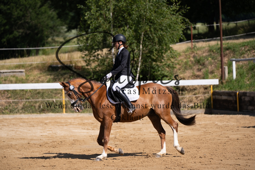 A7V07821 | Turnier/Reitfotograf