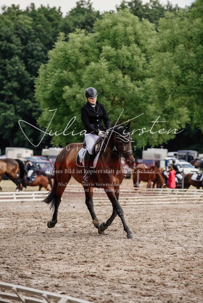 DSC_0769 | Pferde- und Turnierfotografie in Westsachsen. Pferdeportraits, Auftragszeichnungen und intuitive Kunst.