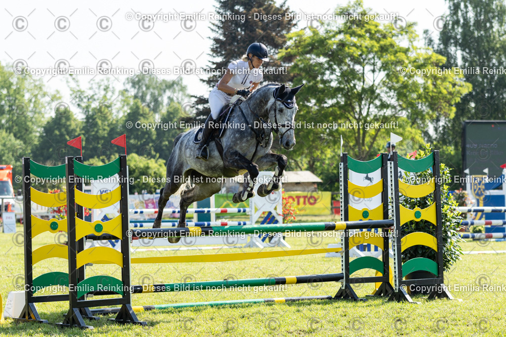 CL5A8133 | Emilia Reinking Fotografie - Realisiert mit Pictrs.com