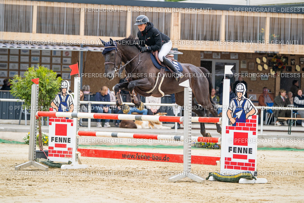 DSC01384 | Pferdegrafie