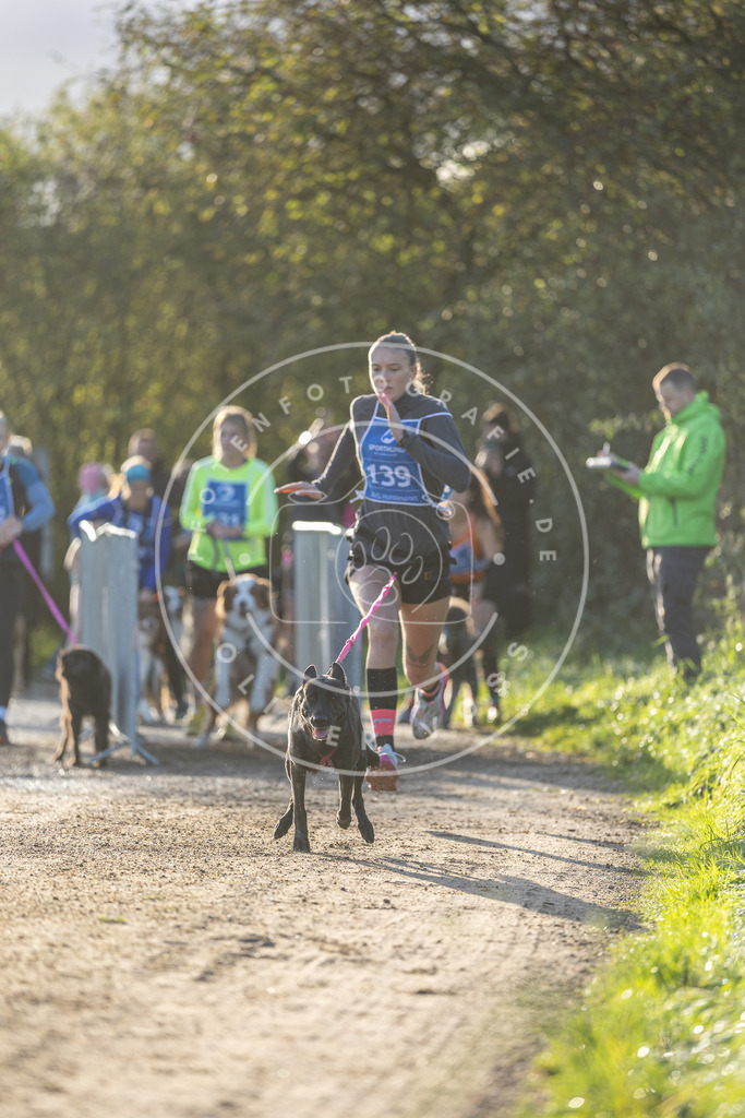 Pfotenfotografie.de_DV3A2857 | Hundefotografie, Tierfotograf, Pfotenfotografie, Fotoshooting Hund, Hunde Portrait, Hundesport, Hundeportraits, Heideshooting, Hunde, Sportfotograf, Hundefotograf, Turnierhundsport, THS, canicross - Realisiert mit Pictrs.com