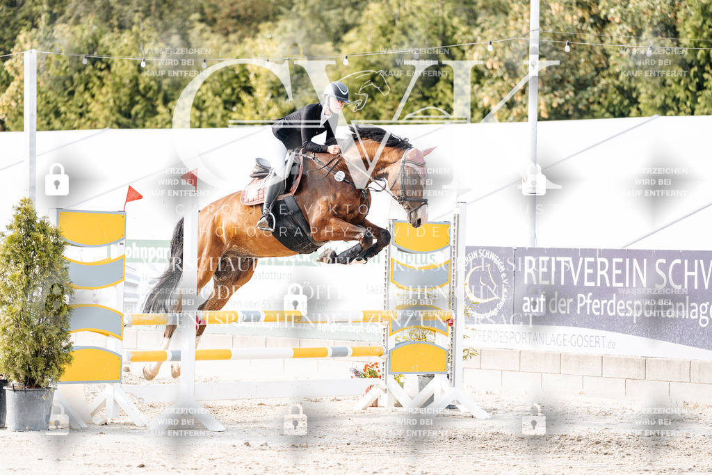CK906786 | Turnierfotografie Pferdefotografie Trier Rheinland-Pfalz Pferdesport Reitsport Tierfotografie Sportfotografie Pferdevideo Pferdevideografie Equestrianvideography equestrianphotography  - Realisiert mit Pictrs.com