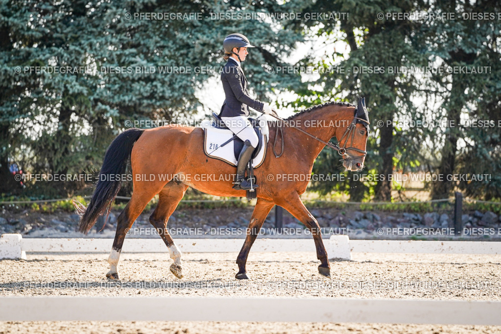 DSC09633 | Pferdegrafie