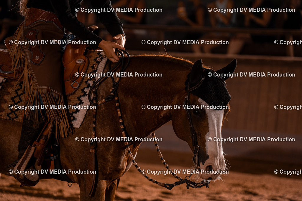 NE201553 | dv-media-shop - Realisiert mit Pictrs.com