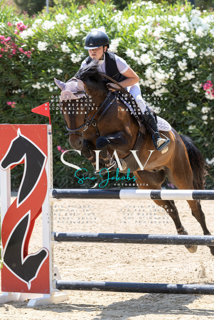 IMG_7576 | s-jay-photography - Realisiert mit Pictrs.com