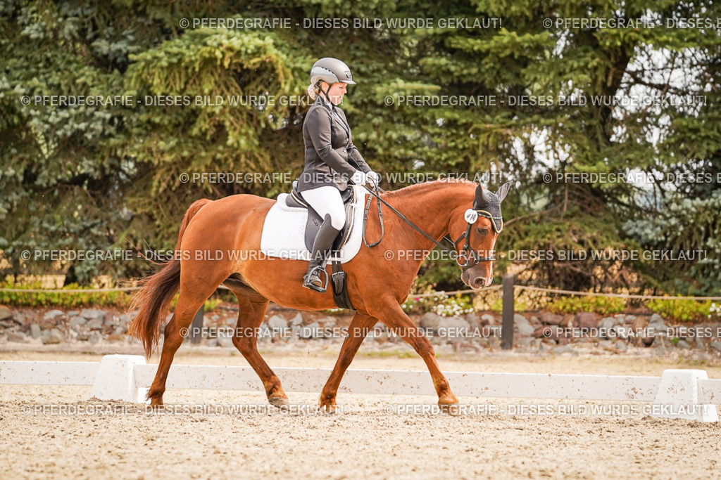 DSC02026 | Pferdegrafie