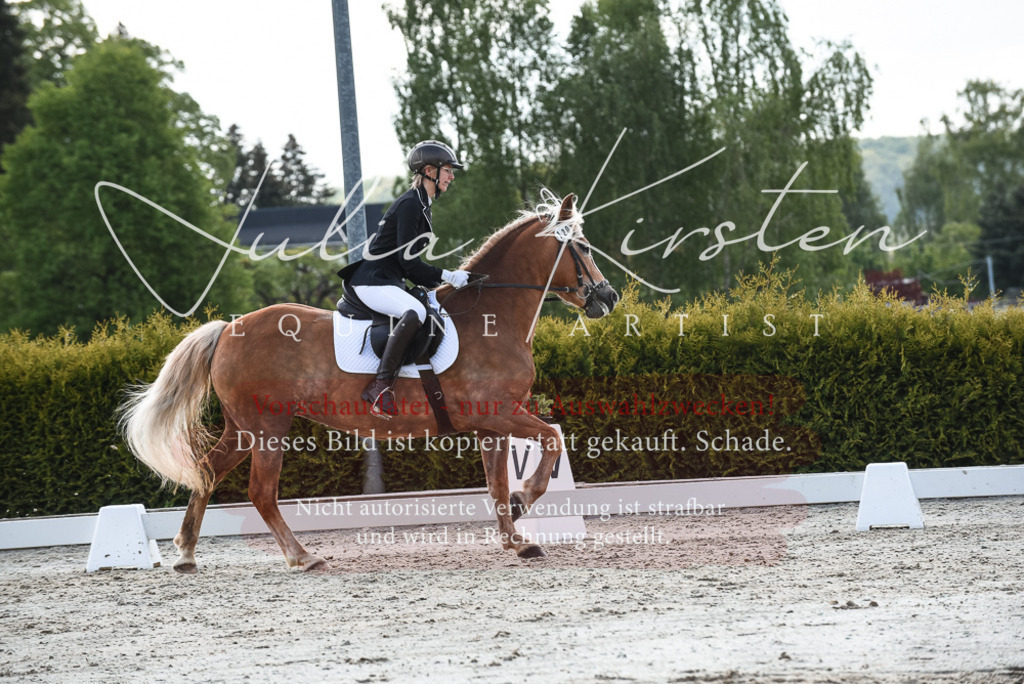 20230518_JK-Röhrsdorf-09-1635 | Pferde- und Turnierfotografie in Westsachsen. Pferdeportraits, Auftragszeichnungen und intuitive Kunst.