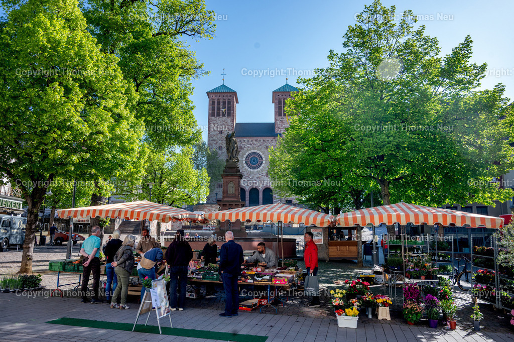 Marktplatz-Bensheim-Fotografie-Thomas-neu | Der Bensheimer Marktplatz an einem sonnigen Vormittag mit Marktständen, Blumenangeboten und Besuchern. Im Hintergrund erhebt sich die Kirche St. Georg, eingerahmt von frischem Grün der Stadtbäume. Der Wochenmarkt zählt zu den beliebtesten Treffpunkten in der Innenstadt von Bensheim
