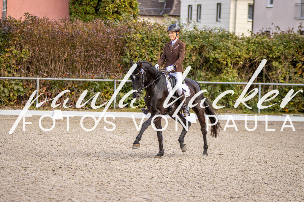 IMG_4138 | Erleben Sie dynamische Sport- und emotionale Tierfotografie in Süddeutschland mit Fotos von Paula. Spezialisiert auf Pferde- und Hundefotografie sowie Sportevents. Kontaktieren Sie mich für einzigartige und ausdrucksstarke Bilder Ihrer besonderen Momente. - Realisiert mit Pictrs.com