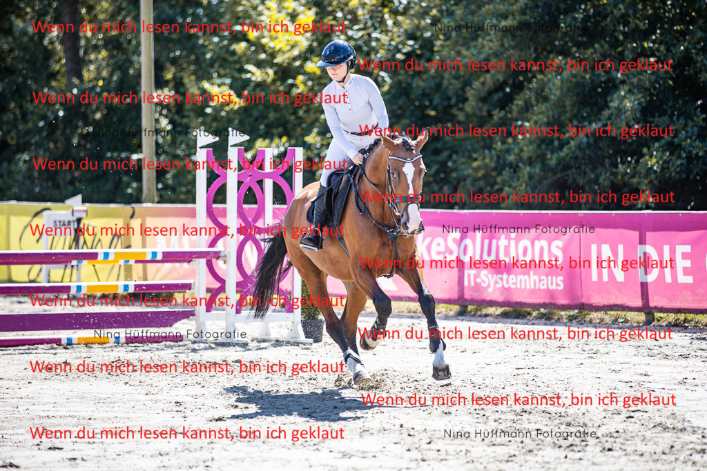 BK1A5313 | Turnierbilder Turnierfotos Nina Hüffmann Turnierfotografie Pferdefotografie Tierzeichnung Haustierzeichnung Pferdezeichnung Hundezeichnung Videograf  - Realisiert mit Pictrs.com