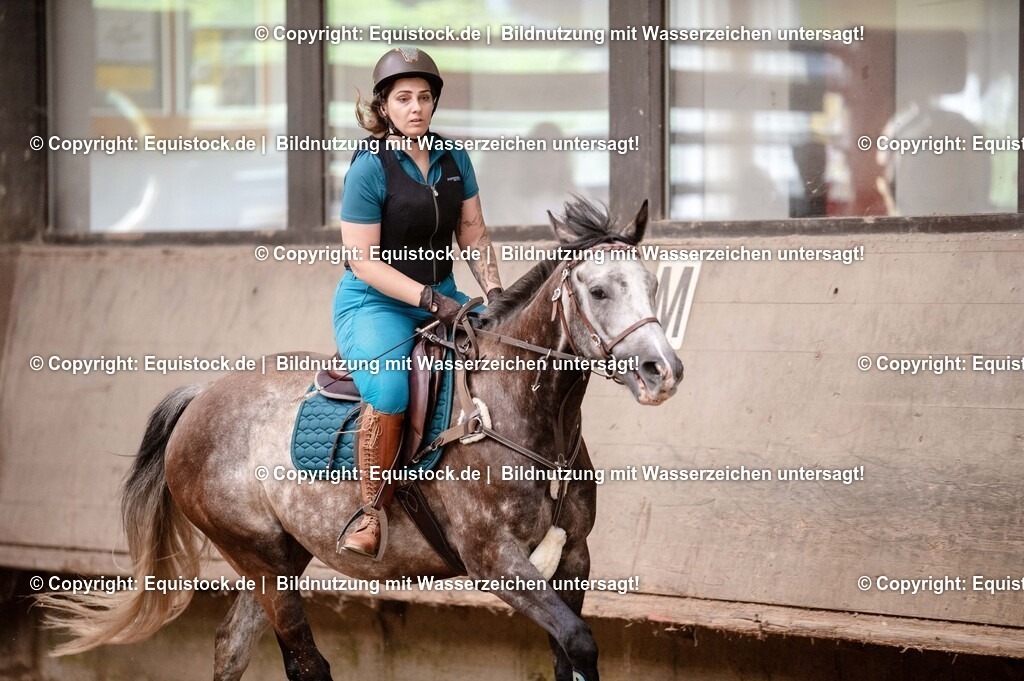 20250725_Vielseitigkeitslehrgang-Marbach_0234 | Foto: Thomas Hartig