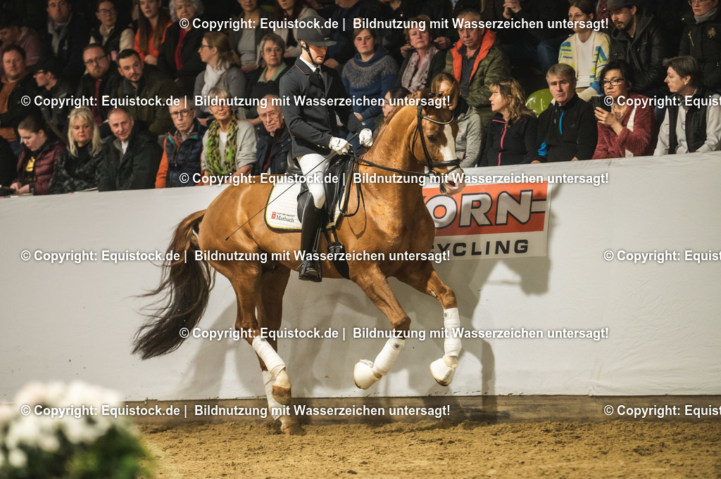 20240302_Hengstvorstellung_Marbach_TOMsPiC_0531 | equistock