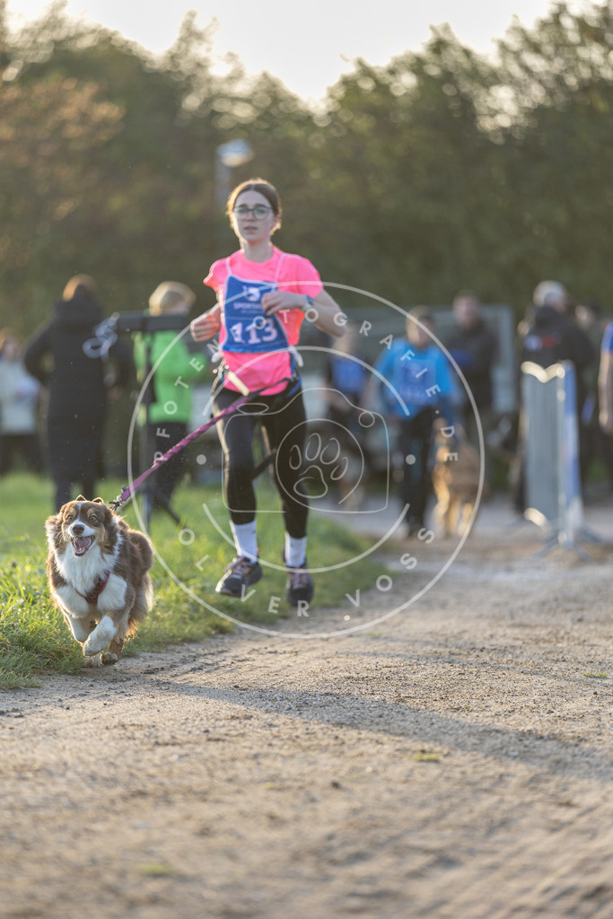 Pfotenfotografie.de_DV3A2482 | Hundefotografie, Tierfotograf, Pfotenfotografie, Fotoshooting Hund, Hunde Portrait, Hundesport, Hundeportraits, Heideshooting, Hunde, Sportfotograf, Hundefotograf, Turnierhundsport, THS, canicross - Realisiert mit Pictrs.com