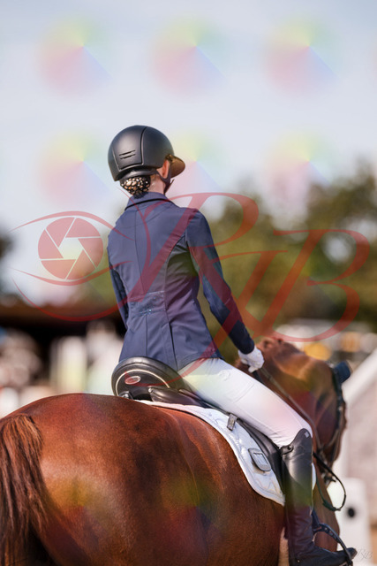 2026_10_03_Siefer-Hof_123417_Z81_32085349 | Professionelle Reitsport-, Turnier- und Eventfotografie von Robert Broda. Galerien mit ausgewählten und bearbeiteten Bildern direkt online ansehen und bestellen.