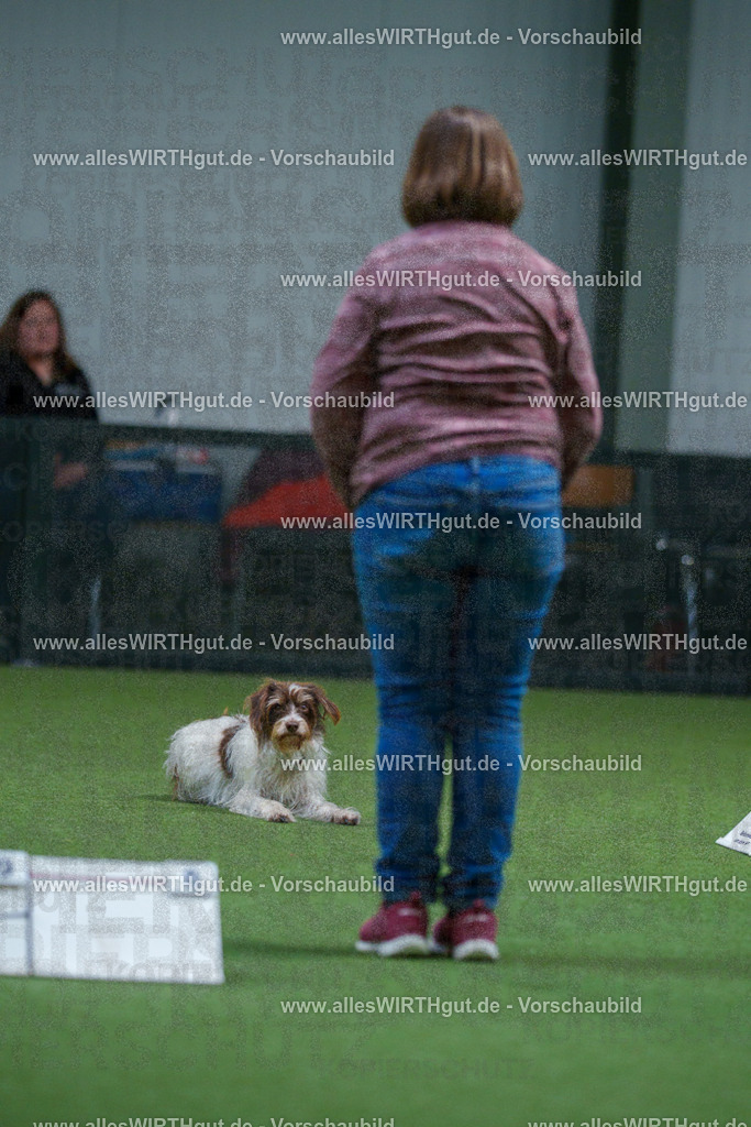 7R502230 | Professionelle Tierfotografie in Mönchengladbach von Daniel Wirth (allesWIRTHgut). Liebevolle & natürliche Bilder von Hunden & Katzen für unvergessliche Erinnerungen.