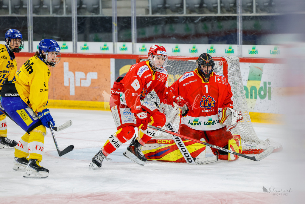 U21_EHCB vs HCD_wb20260308-0294 | Sportbilder, Sportfotograf, Hochzeits- und Eventfotografin, Flugshows, Portraits und Tiershooting, Aviation, Downhill, Nationalleague, Swissleague, International