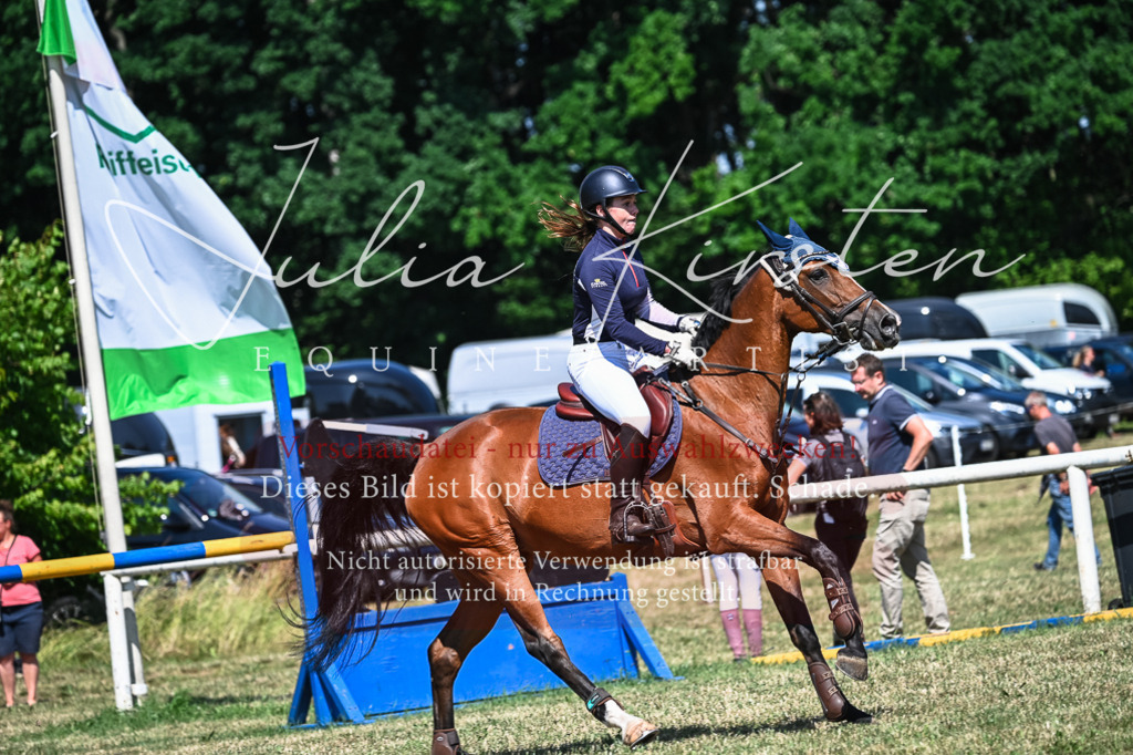 DSC_1374 | Pferde- und Turnierfotografie in Westsachsen. Pferdeportraits, Auftragszeichnungen und intuitive Kunst.