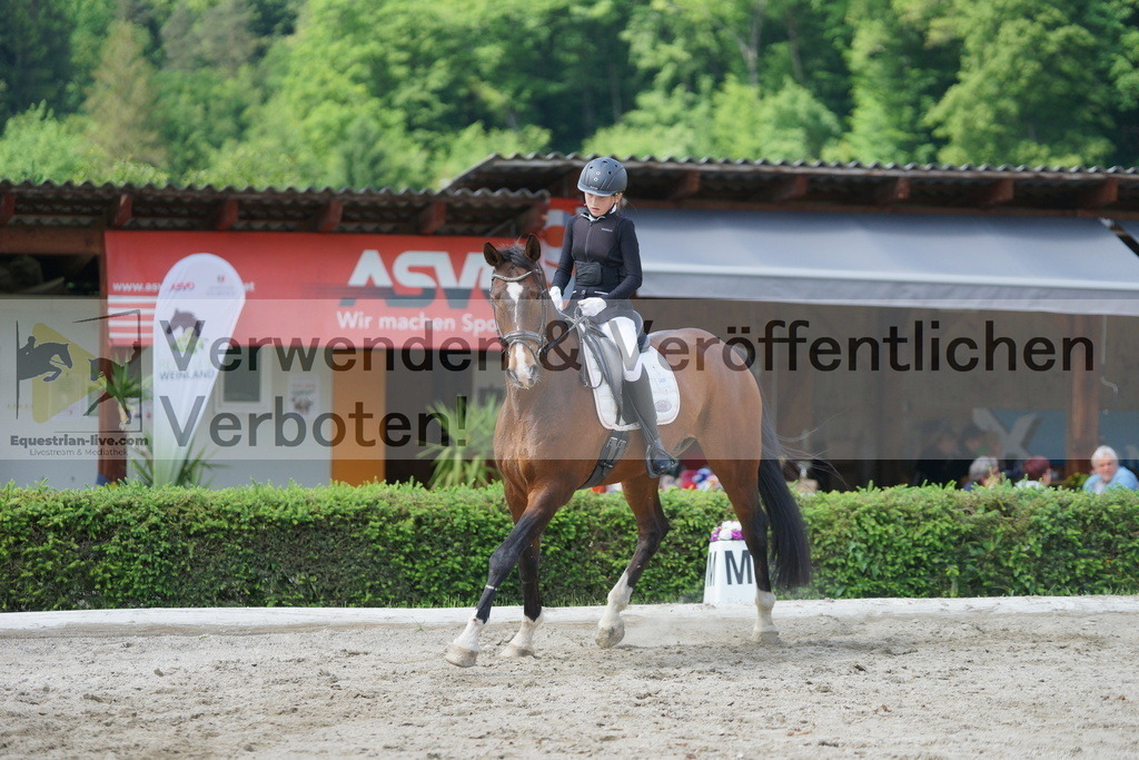 DSC05236 | equestrian-live-com
