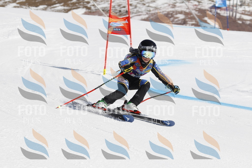 _U3G9593 | holidayphoto