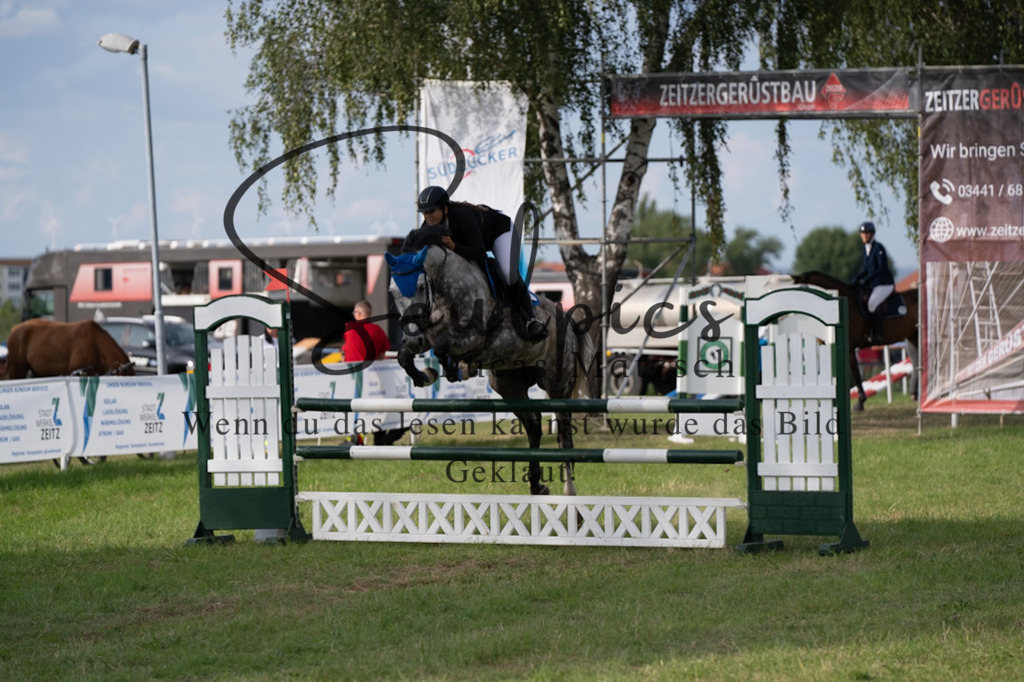 A7V04960 | Pferdefotograf