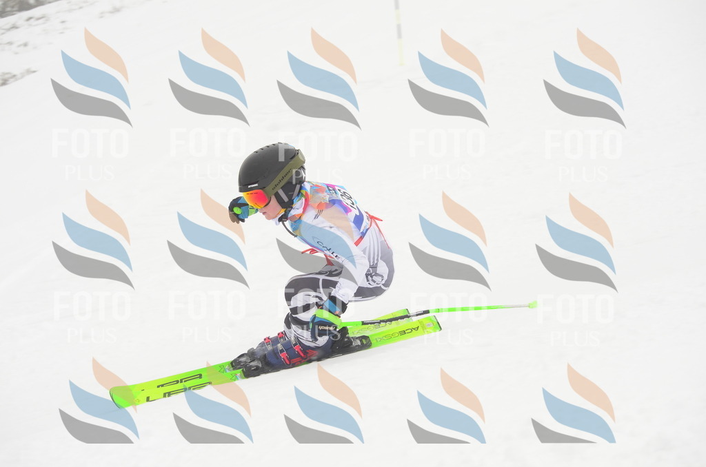 C1680 | holidayphoto