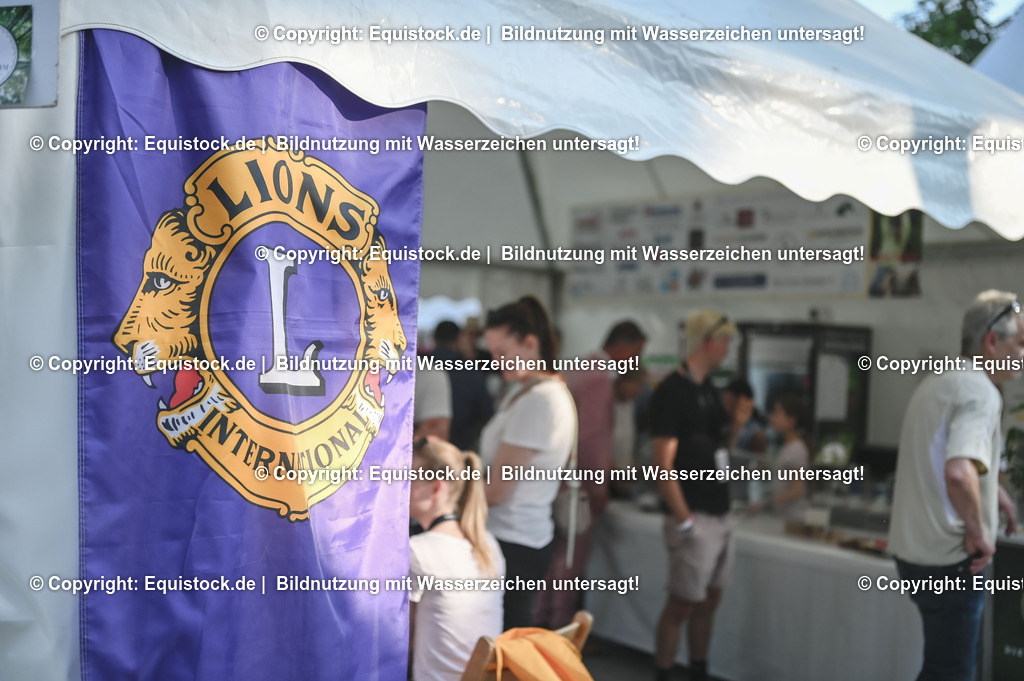 D78_3802 | equistock