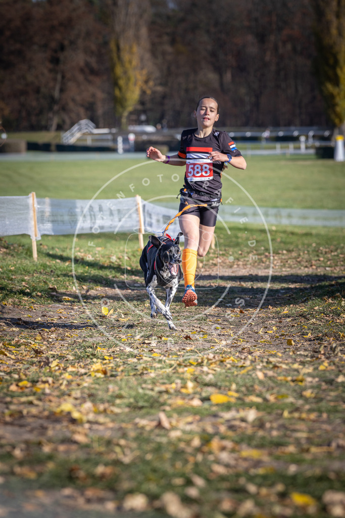 CaniXpix_DV3A9192 | Hundefotografie, Tierfotograf, Pfotenfotografie, Fotoshooting Hund, Hunde Portrait, Hundesport, Hundeportraits, Heideshooting, Hunde, Sportfotograf, Hundefotograf, Turnierhundsport, THS,  - Realisiert mit Pictrs.com