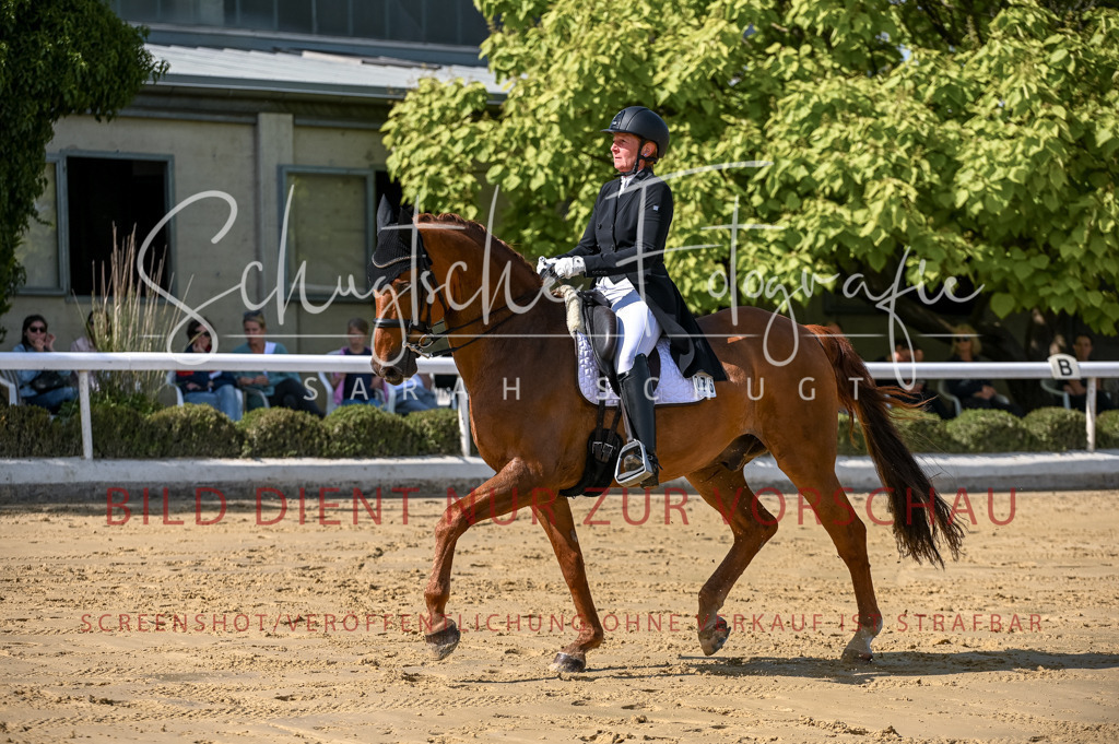 Schugtsche-Aluta25-58. Dressurprf.S1Kand.St.GeorgSpecial-311 | Schugtsche Fotografie - Realisiert mit Pictrs.com