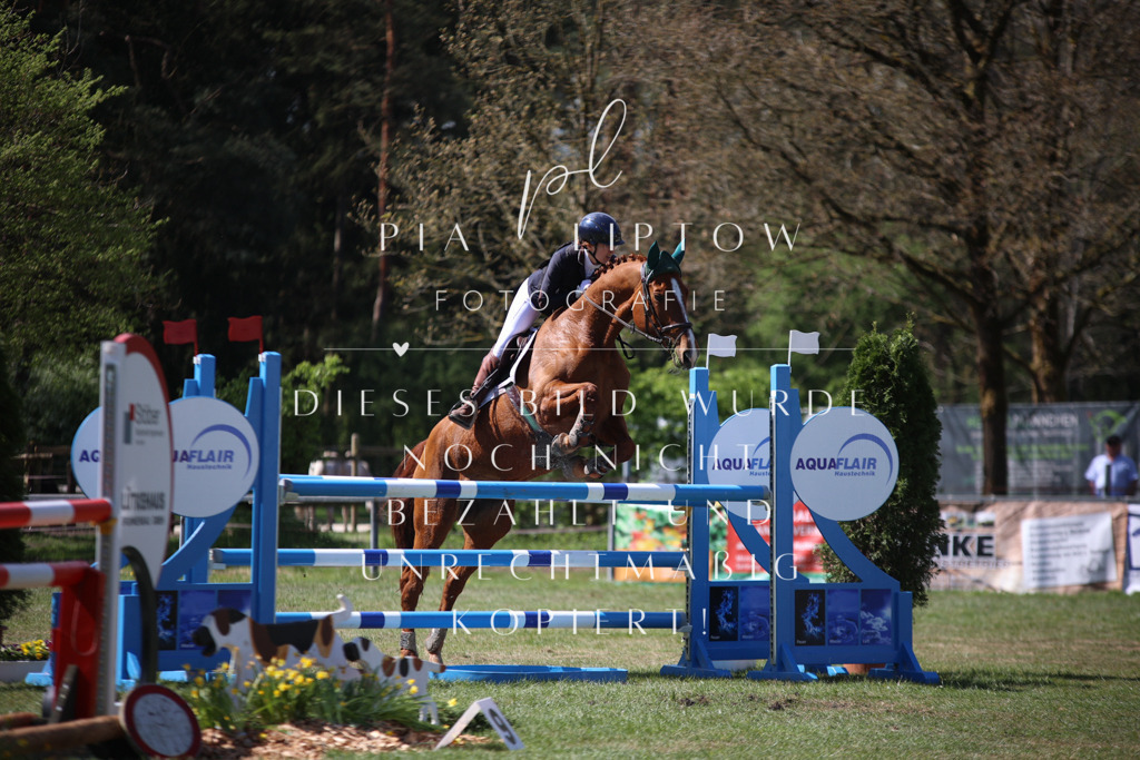 IMGT1162 | pl-fotografie