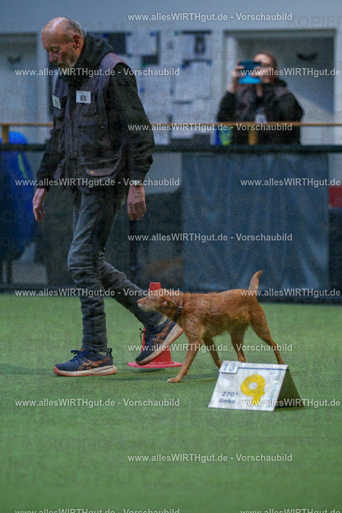 7R502638 | Professionelle Tierfotografie in Mönchengladbach von Daniel Wirth (allesWIRTHgut). Liebevolle & natürliche Bilder von Hunden & Katzen für unvergessliche Erinnerungen.