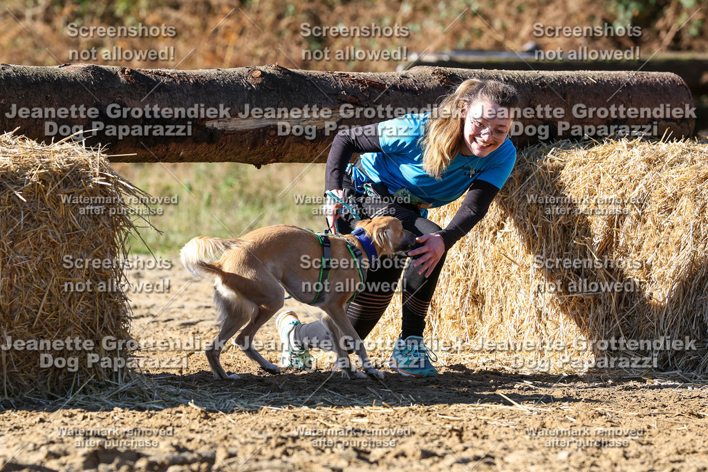 Dog Paparazzi - Strongdog 10-25-2648 | Dog Paparazzi Jeanette Grottendiek Fotografie & Videografie - Realisiert mit Pictrs.com