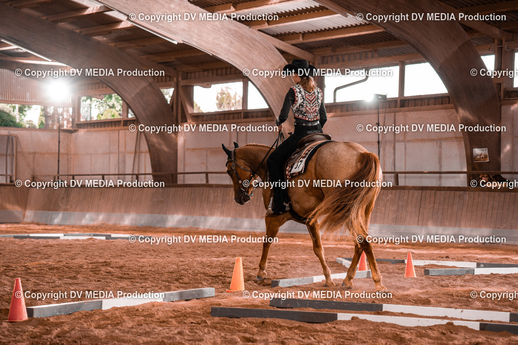 NE200184 | dv-media-shop - Realisiert mit Pictrs.com