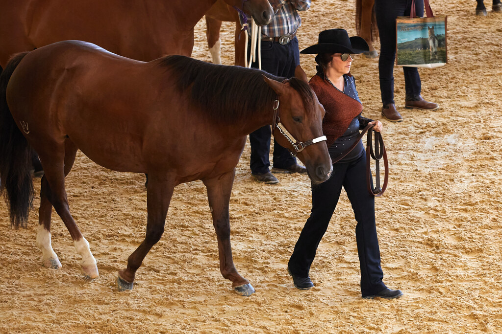 2020_07_19 Schweizersbild 143 | Peter Fridle Fotografie - Realisiert mit Pictrs.com