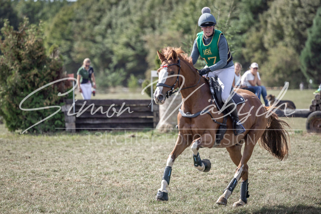 20250907-_3LI1876 | Tierfotografie Pferde, Hunde, Katzen, Haustiere.
Turnierfotografie Reitturniere, Reiten, Springreiten, Dressur in Hanau, dem Main-Kinzig-Kreis und dem Rhein-Main- Gebiet um Frankfurt