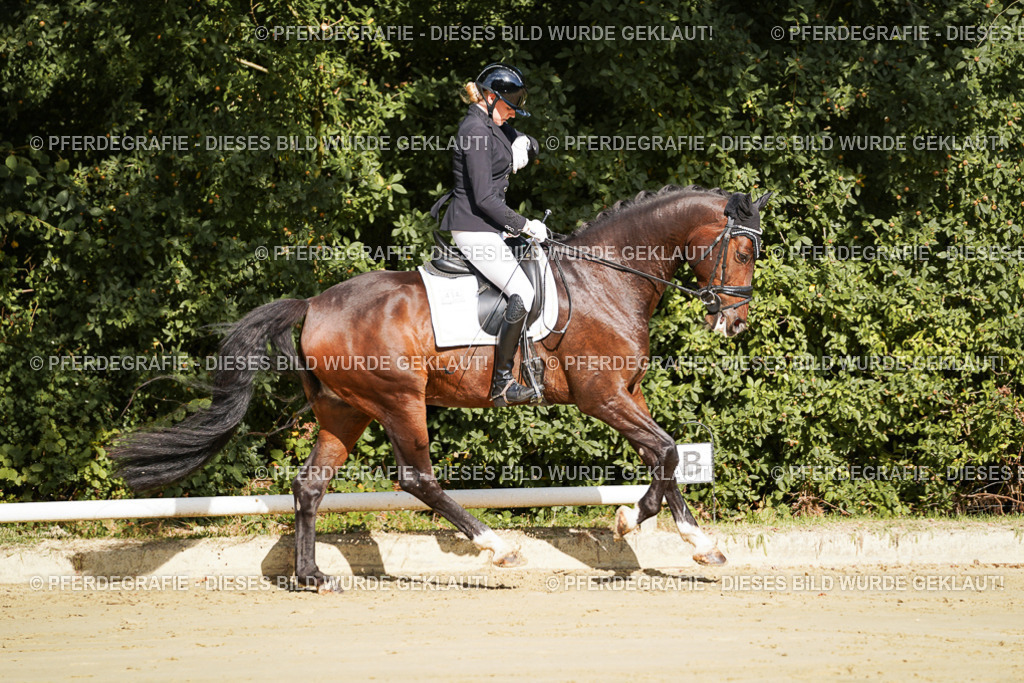 DSC07753 | Pferdegrafie