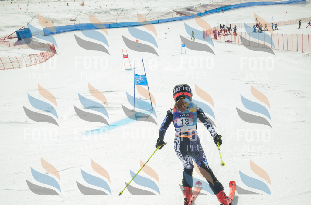 _ELE4618 | holidayphoto