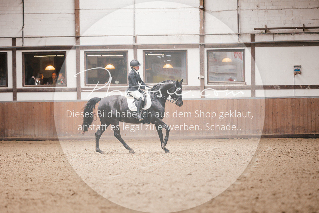3I6A8570 | Stimmungsvolle Portraits und Reitsportfotografie im Ruhrgebiet und im Münsterland.

Pferdefotografie, Hundefotografie, Tierfotografie, Reportagen, Portraits von Tier und Mensch, Turnierfotografie in Bochum, Recklinghausen, Marl, Haltern am See, Dülmen.. - Realisiert mit Pictrs.com