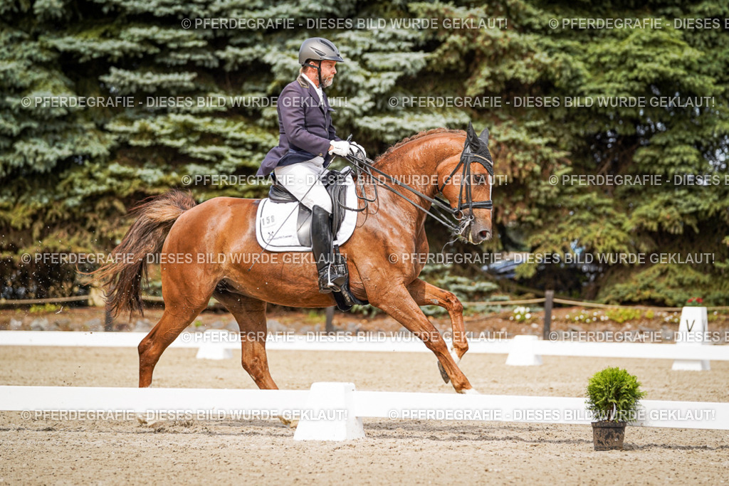 DSC05796 | Pferdegrafie