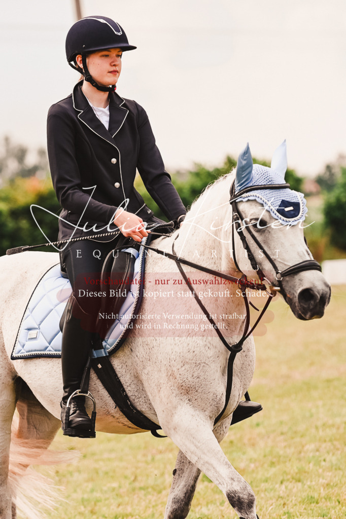 DSC_6936 | Pferde- und Turnierfotografie in Westsachsen. Pferdeportraits, Auftragszeichnungen und intuitive Kunst.