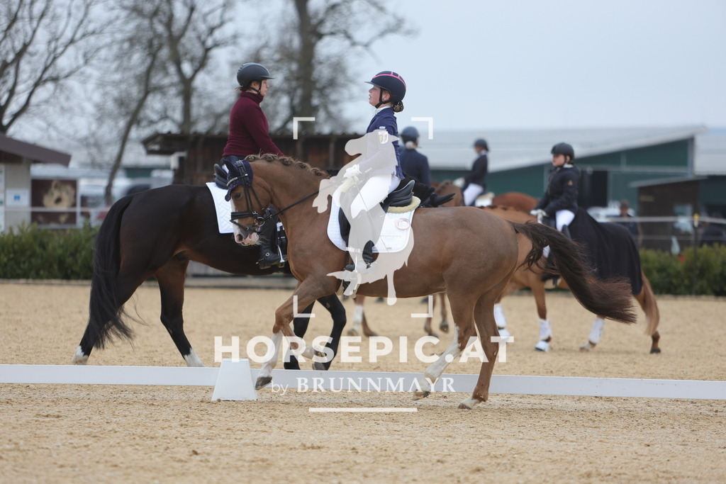 0P6A4635 | Willkommen bei Brunnmayr - Design & Fotografie – Ihrem Spezialisten für Reitturniere und Pferdeveranstaltungen in Oberösterreich, Salzburg und Bayern! Seit über 17 Jahren sind wir leidenschaftlich dabei.