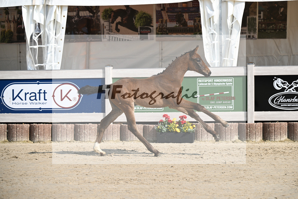 Sane x Fuerst Romancier_SF_Fritz_12250083 | hf-fotografie - Realisiert mit Pictrs.com