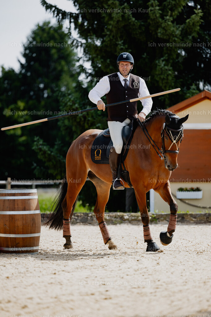Gernot25_FHC2025-20923 | working equitationturnier fotograf videograf stoibphotography marixx film working equitation deutschland reitsport turnierfotografie eventfotografie equestrian events