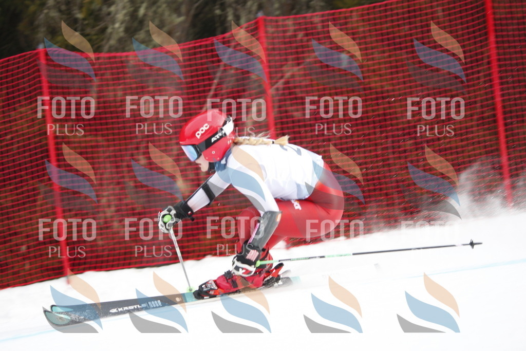 D5058 | holidayphoto