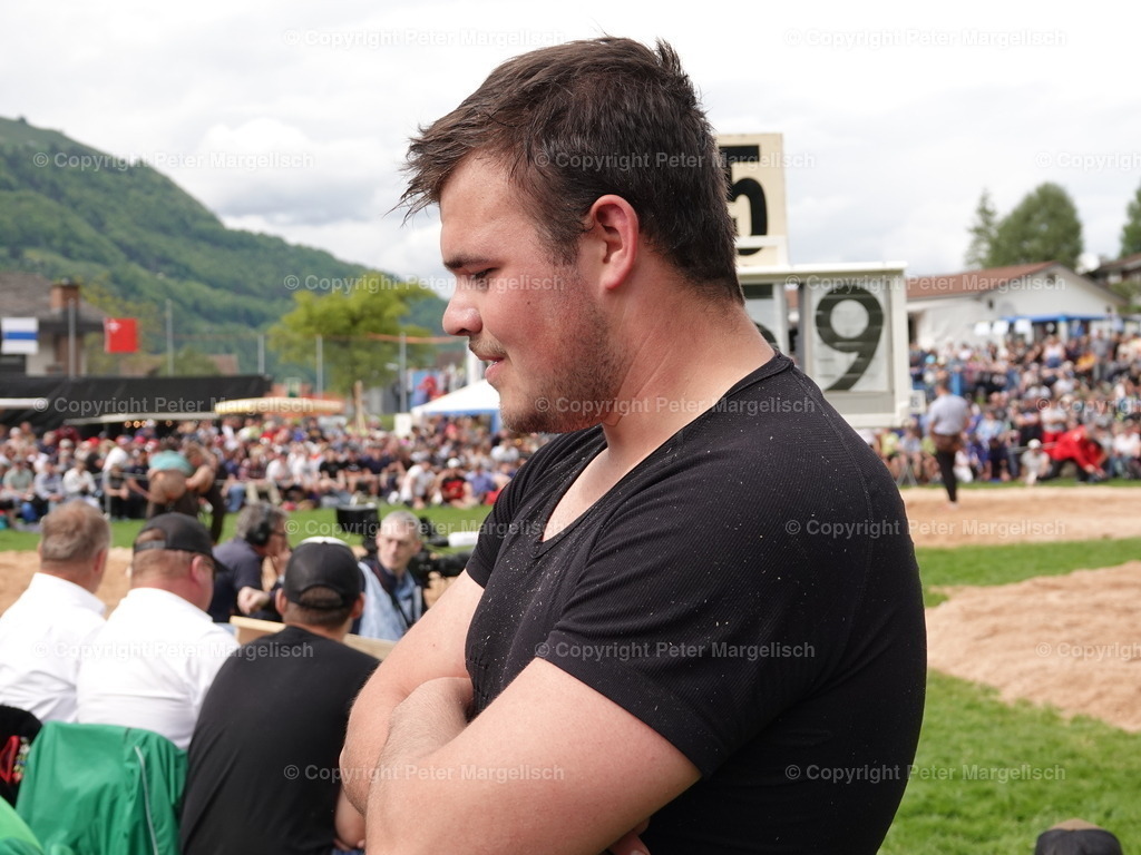 DSC07251 | Schwingen - Realisiert mit Pictrs.com