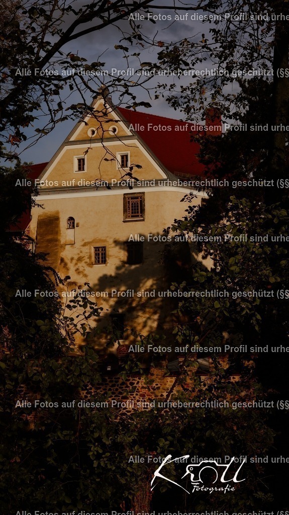 Photo_1727203770595 | krollfotografie - Realisiert mit Pictrs.com