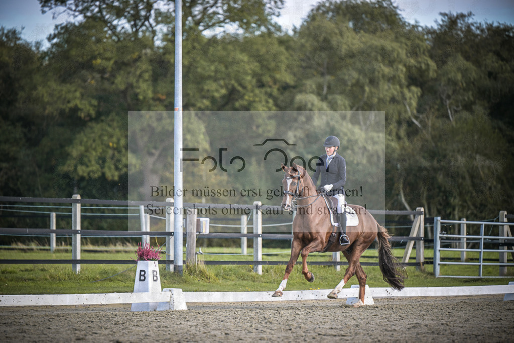 DOS_3799 | Entdecke hochwertige Reitturnierfotos von Foto Oger. Professionell, emotional und authentisch – jetzt Lieblingsmomente im Shop bestellen.Deutschlandweite Turnierfotografie. - Realisiert mit Pictrs.com