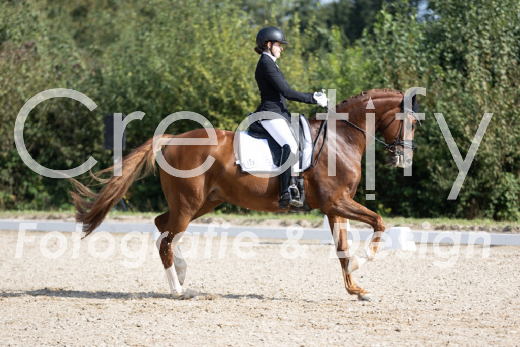 IMG_3142 | Creatify Fotografie