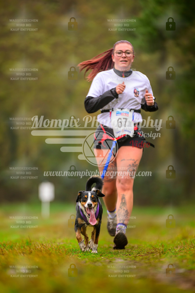 MompixPhotography_Bischwiller2025_Canicross-173 | mompixphotography